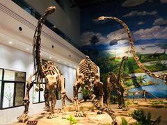 -自贡恐龙博物馆