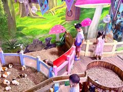 -正佳雨林生态植物园