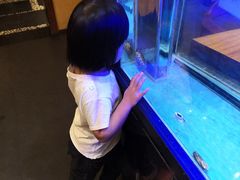 -千代武日本料理(爱建店)