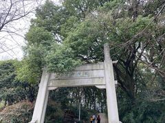 -苏州上方山国家森林公园