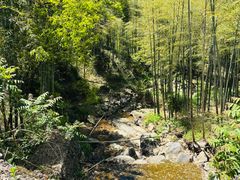 -藏龙百瀑风景区