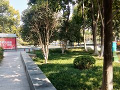 -后襄河公园