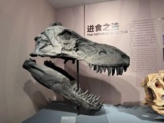 -自贡恐龙博物馆