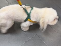 -联合动物医院(光谷诊疗中心)