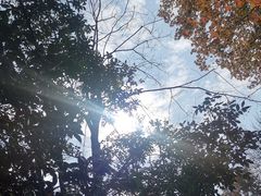 -石燕湖生态旅游景区