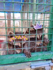 -萌宠亲子动物乐园(槐房万达店)