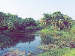 -白沙门生态公园