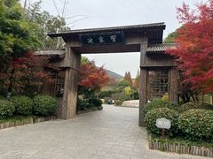 -习家池