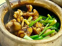 姜葱田鸡-明辉田鸡粥