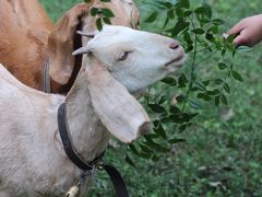 -鹿野苑石刻艺术博物馆