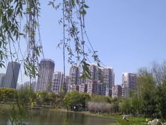 -堤角公园