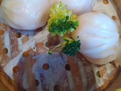 -粤秀小厨·广式早茶(辽宁路店)