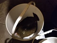 -海九澎湖海鲜餐厅