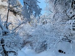 -终南山国家森林公园