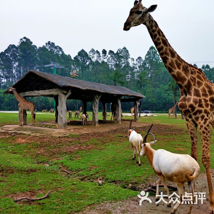 广州长隆野生动物世界