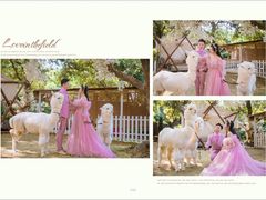 -经典婚纱摄影美学馆·私人定制