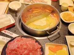 -蓉客成都火锅·招牌麻辣牛杂·特色香辣蹄花(凌水店)