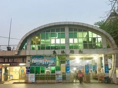 -长洲岛