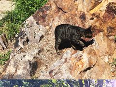 -沈阳辉山风景区