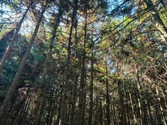 -大罗山风景区