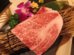 西冷牛排-焼肉 薩摩牛旬 A5鹿児島黒毛和牛一頭買い　(渋谷本店)