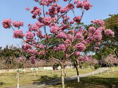 -广州莲花山旅游区