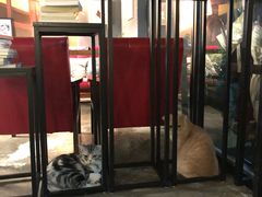 门面-咖法森林·咖啡  酒吧(天河店)