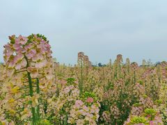 -中国天府农业博览园