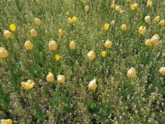 -长春公园(普阳街道)