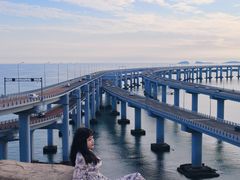 -星海湾跨海大桥