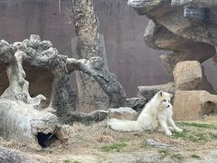 -杭州野生动物世界