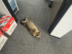 -潮界(虹桥新天地店)