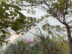 -羚羊峡古栈道森林公园