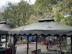 -土砂锅生态山庄·非遗砂锅雅鱼