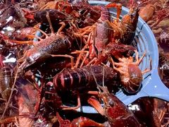 -聚盛源蒸汽海鲜火锅烤肉自助(巨川金海岸购物广场店)