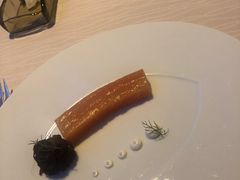 -迪拜帆船酒店海底餐厅