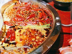 -谭鸭血老火锅(远大购物广场店)
