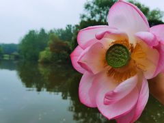 -溱湖国家湿地公园