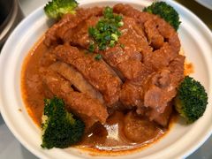 -椿记烧鹅(叠彩店)