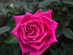 -人民公园(罗湖区)