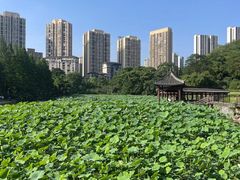 -龙头寺公园