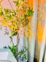 -己悦美学·皮肤管理