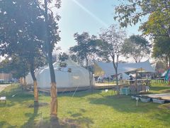 -上海海湾国家森林公园