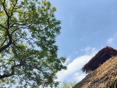 -北京世界公园
