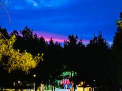 -重庆睡佛山森林公园