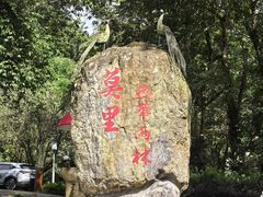 -莫里热带雨林景区