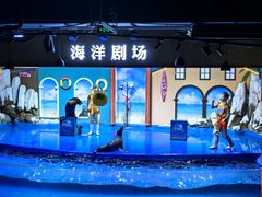 -重庆欢乐海底世界