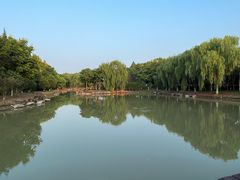 -盐官日光域房车营地·有盐餐厅