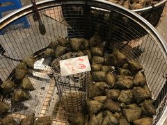 -赵记粽子(司前街店)