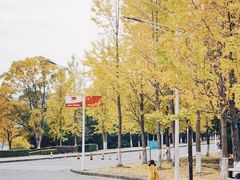 -浙江农林大学(东湖校区)